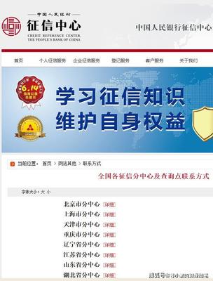 2020最新版全面介绍 个人征信报告查询指南与征信状态解析